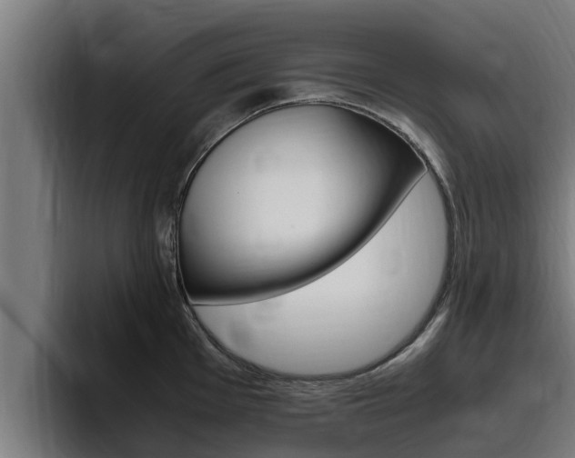 X0000094781001200711160846