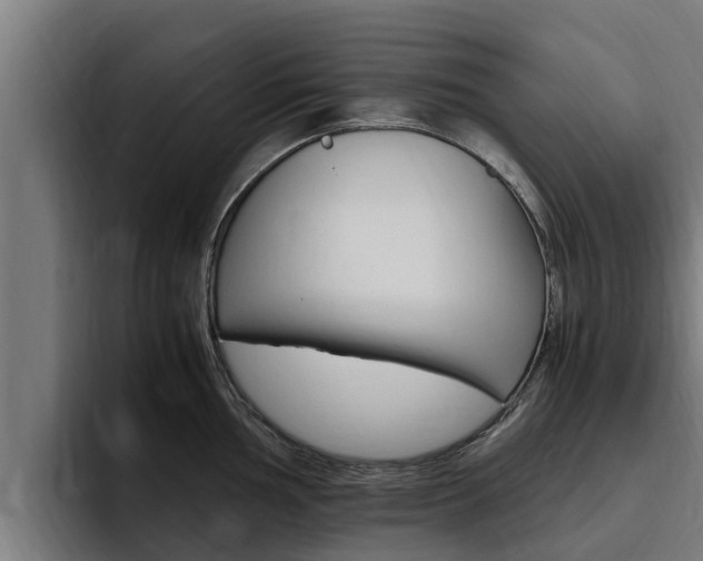 X0000094781002200711160846