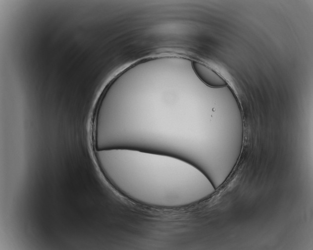 X0000094781003200711160846