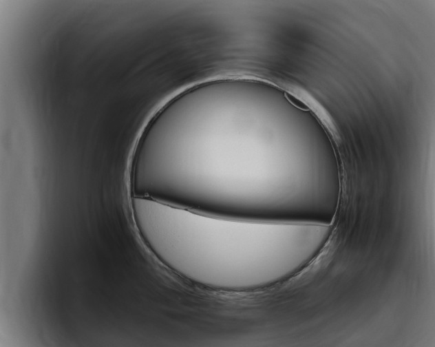 X0000094781004200711160846