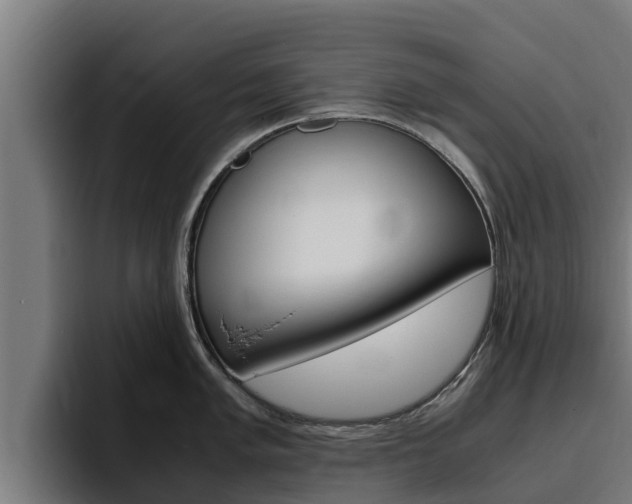 X0000094781005200711160846