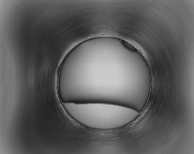 X0000094781006200711160846