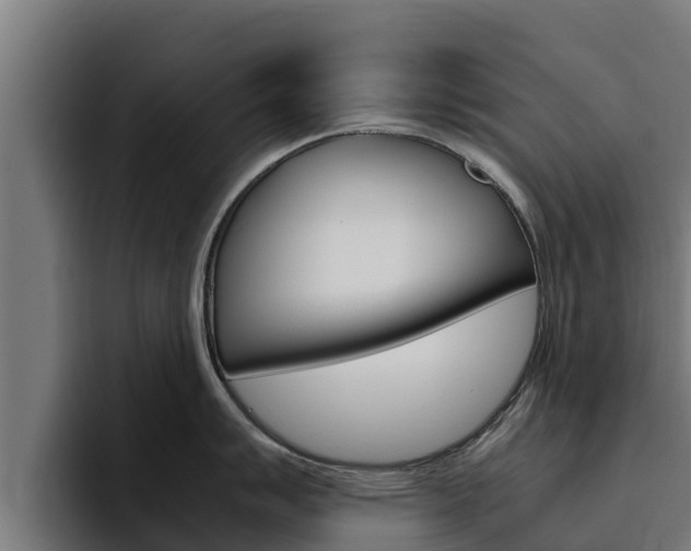 X0000094781007200711160846