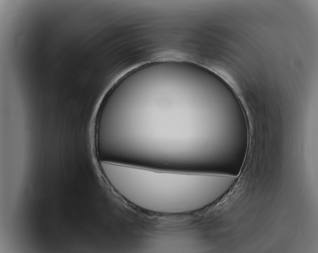 X0000094781008200711160846