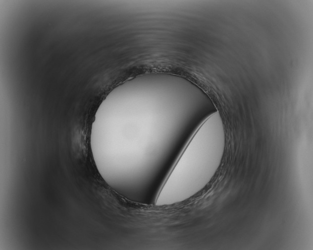 X0000094781010200711160846