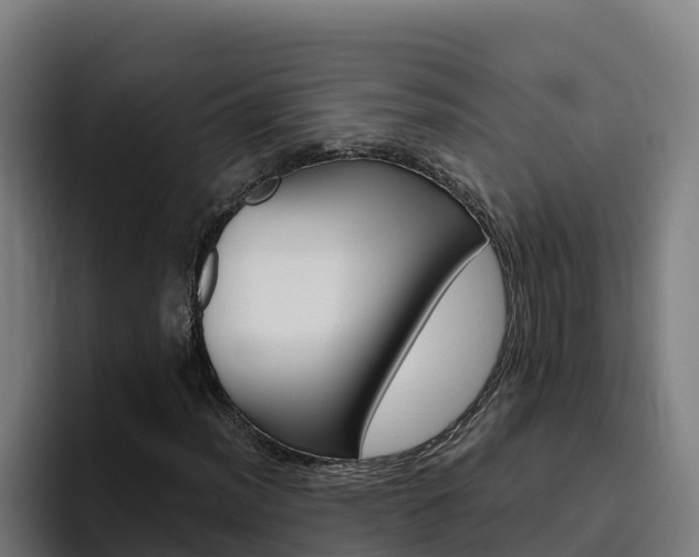 X0000094781012200711160846