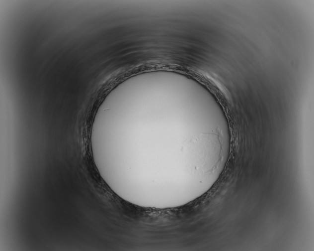 X0000094781015200711160846