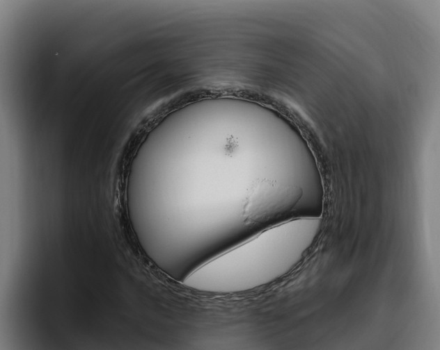 X0000094781016200711160846