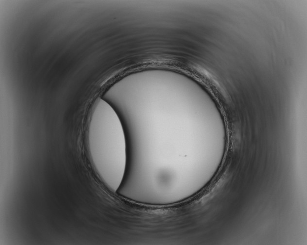 X0000094781017200711160846