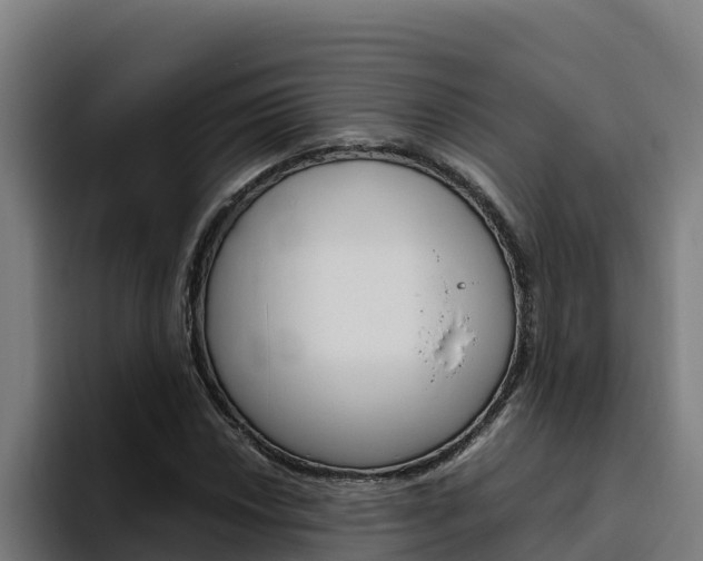 X0000094781018200711160846