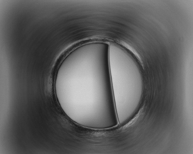 X0000094781021200711160846
