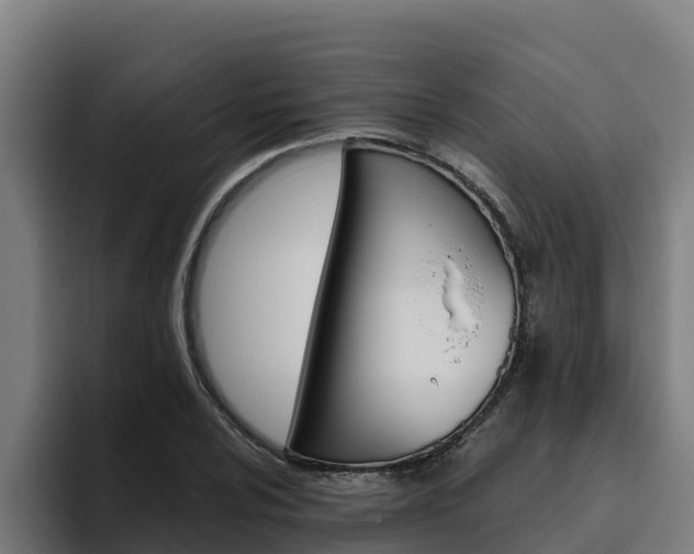 X0000094781024200711160846