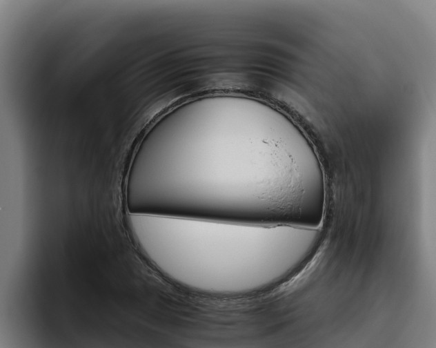 X0000094781025200711160846