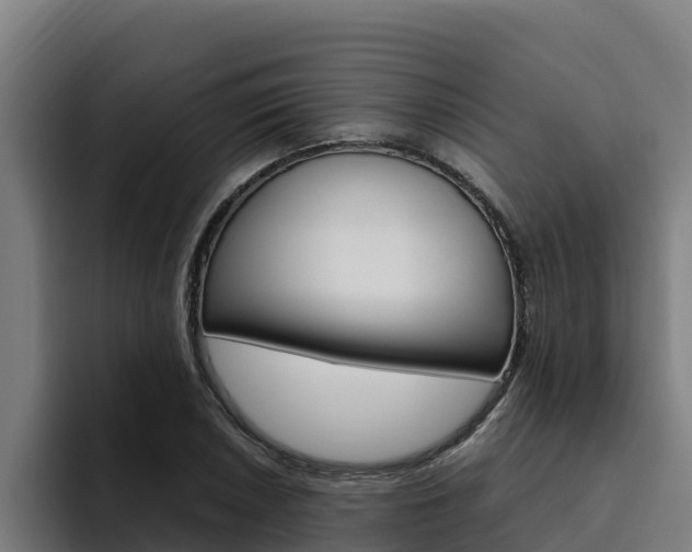 X0000094781026200711160846