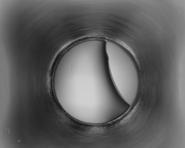 X0000094781029200711160846