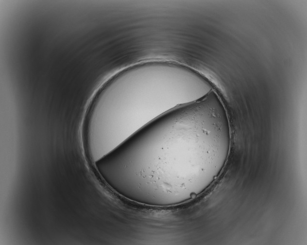 X0000094781030200711160846