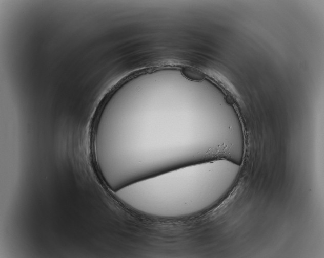 X0000094781031200711160846