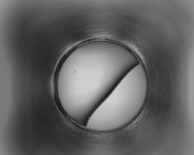 X0000094781032200711160846
