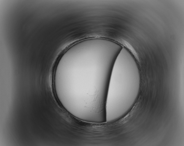 X0000094781035200711160846