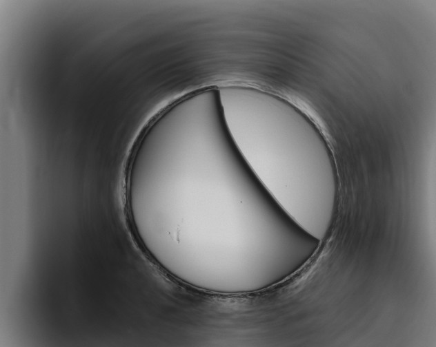 X0000094781040200711160846