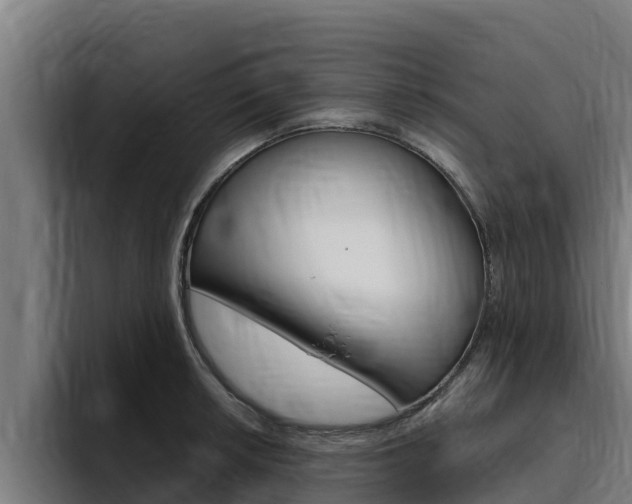 X0000094781042200711160846