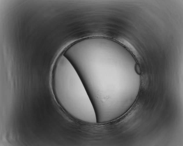 X0000094781043200711160846