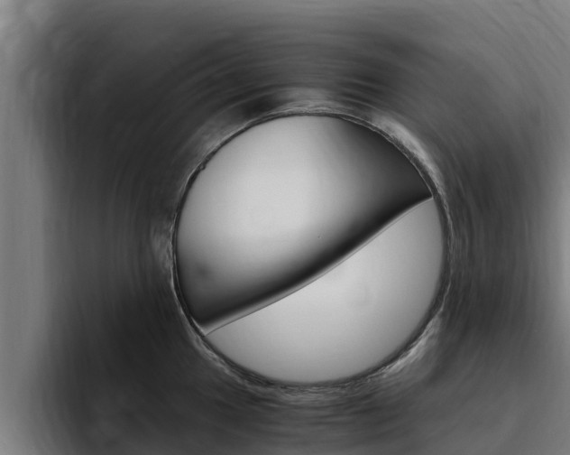 X0000094781049200711160846