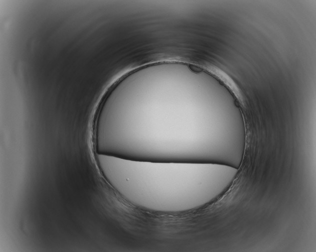 X0000094781051200711160846