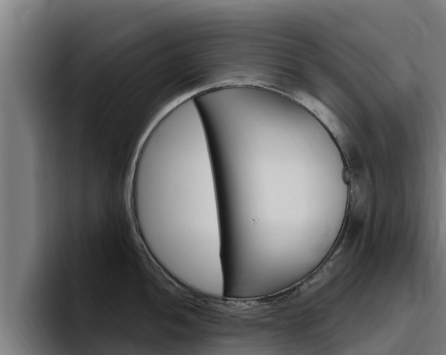 X0000094781052200711160846