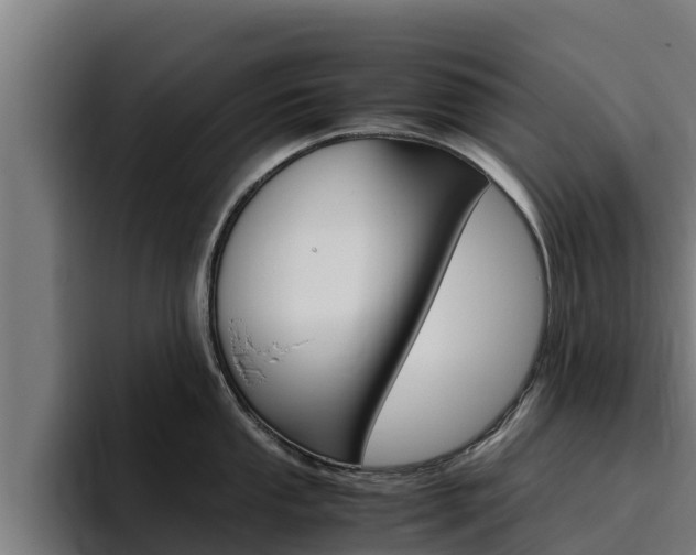 X0000094781053200711160846