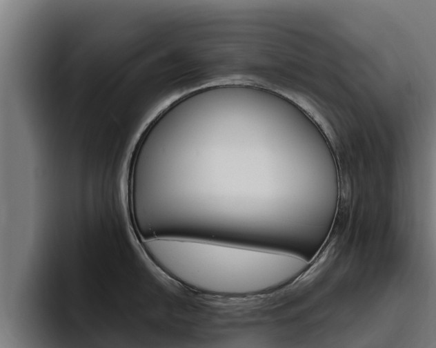 X0000094781054200711160846