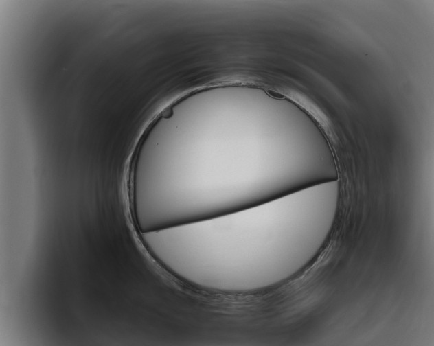 X0000094781055200711160846