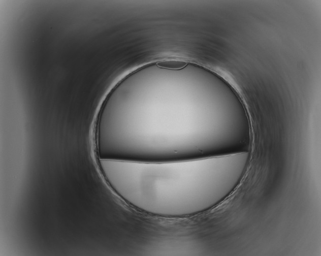 X0000094781056200711160846