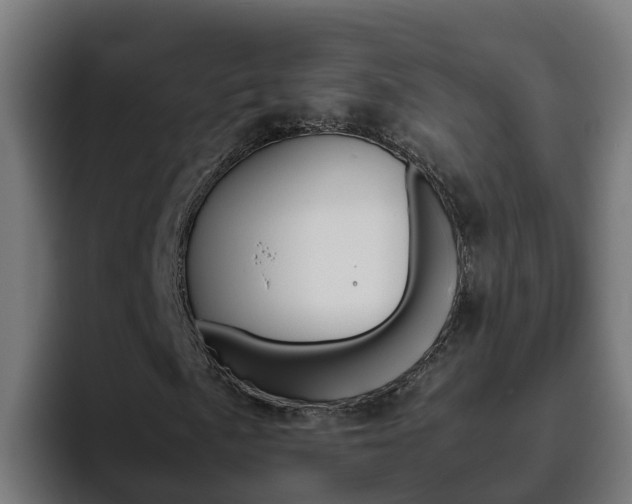 X0000094781057200711160846