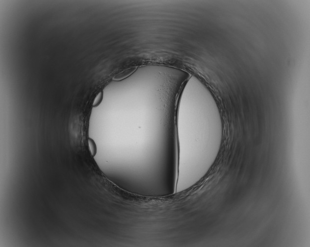 X0000094781058200711160846