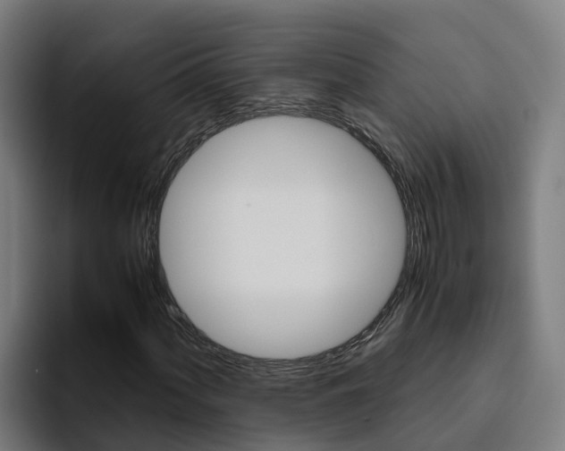 X0000094781060200711160846