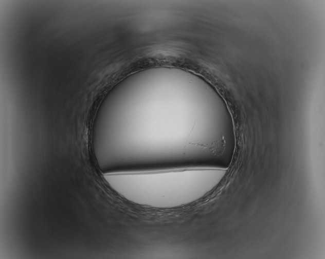 X0000094781061200711160846
