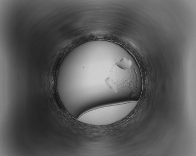 X0000094781062200711160846