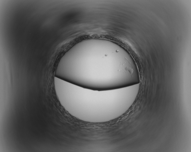 X0000094781063200711160846
