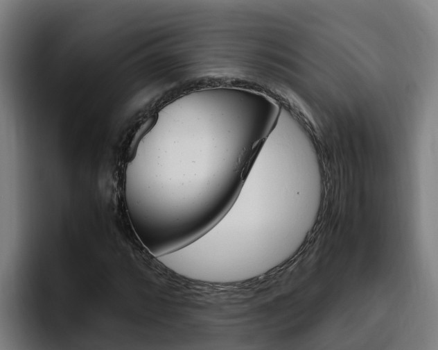 X0000094781064200711160846
