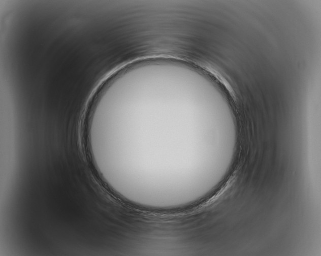 X0000094781069200711160846