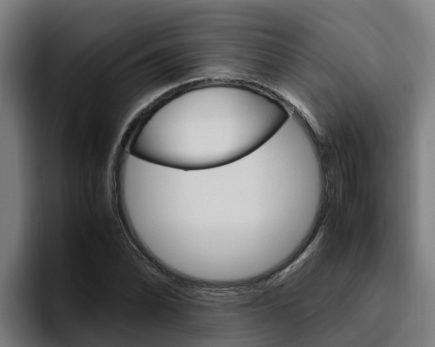 X0000094781070200711160846