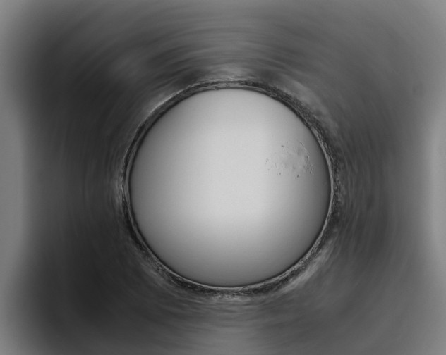 X0000094781073200711160845