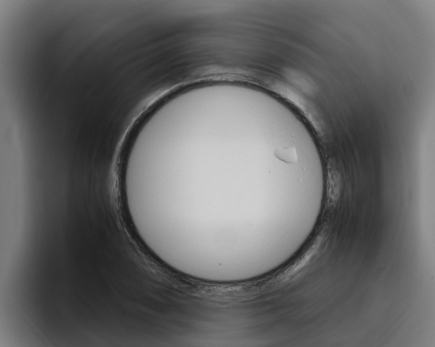 X0000094781074200711160845