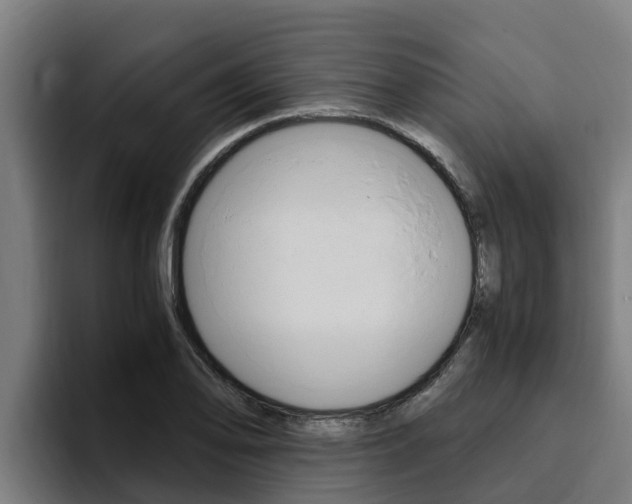 X0000094781078200711160845