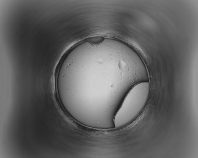 X0000094781079200711160845