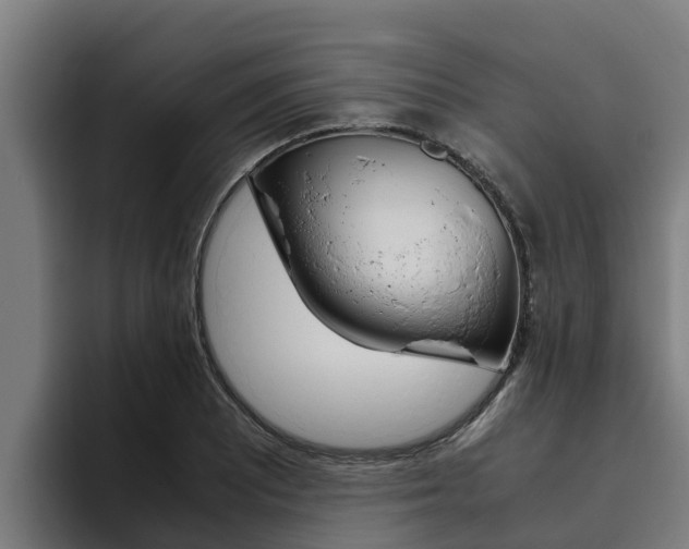 X0000094781081200711160845