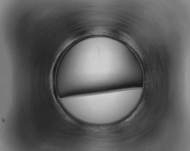 X0000094781082200711160845