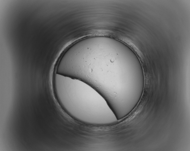 X0000094781083200711160845
