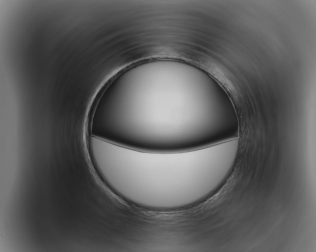 X0000094781084200711160845